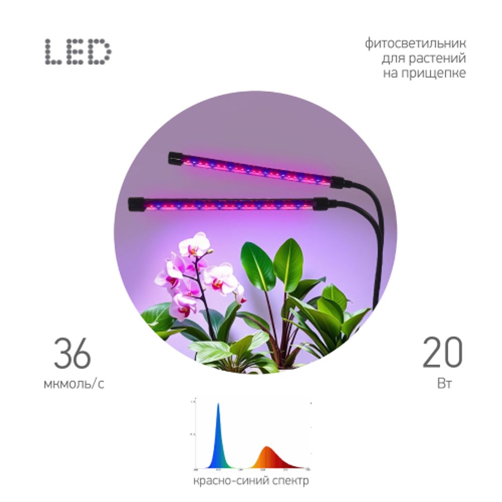 Светильник для растений на прищепке ЭРА FITO-20W-АLED-RB красно-синего спектра 20 Вт | Интерьерные фито светильники