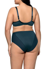 Женские трусики-слипы Anita (Размер: XL) (Цвет: кофейный)