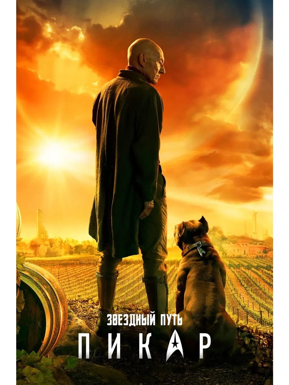 Звёздный путь: Пикар, сезон 3 (DVD-R)