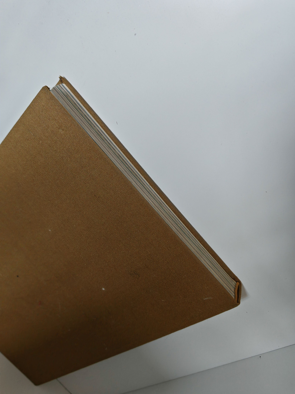 Мещерская сторона. Фотографии Вадима Гиппенрейтера