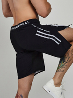 Шорты Bad Boy Reform Black/White
