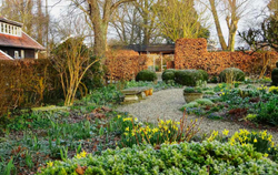 My Garden: A Year of Design and Experimentation