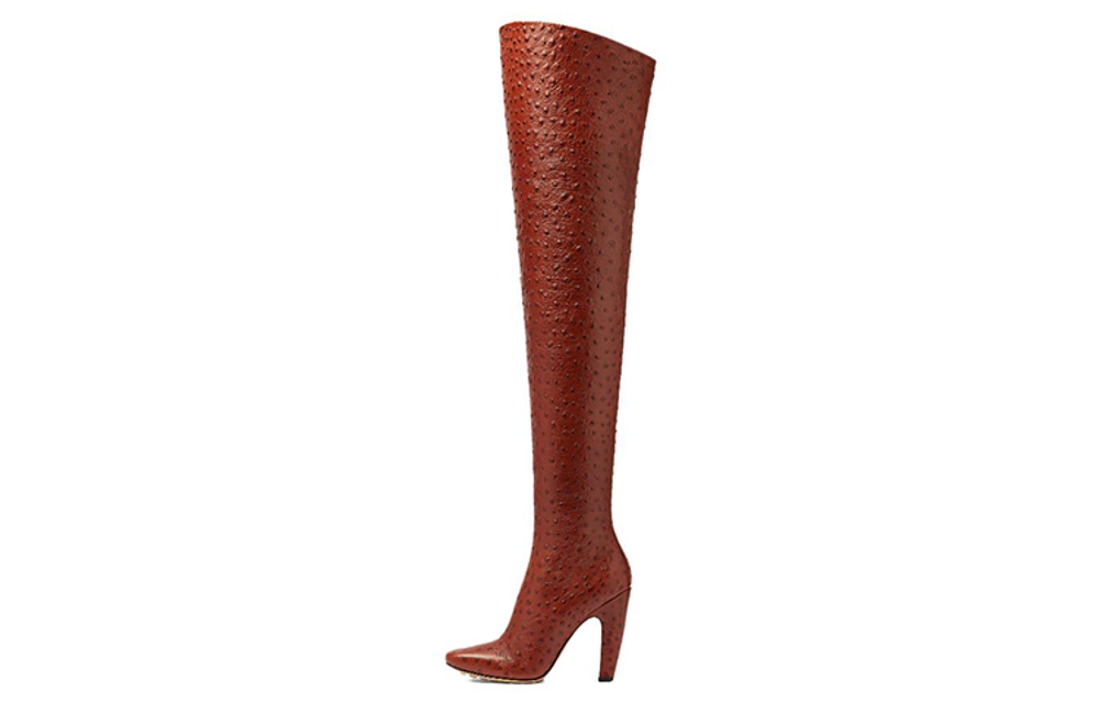 Bottega Veneta Canalazzo Over the knee Boots 10cm Women"s Burnt Orange