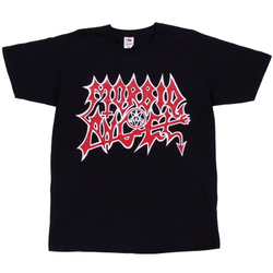 Футболка Morbid Angel (лого)