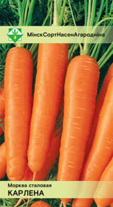 Морковь "Карлена" 1.5г, Польша.