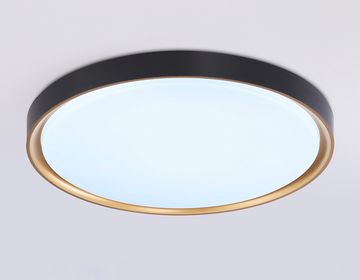 Потолочный светодиодный светильник с высокой степенью защиты IP54 45W 5000K FZ1249 BK/GD чёрный/золото Air Orbital Ambrella