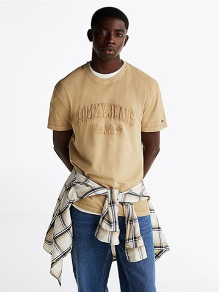 Футболка мужская TOMMY JEANS TJM REG VINTAGE VARS