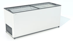 Морозильная камера Frostor F 600 C