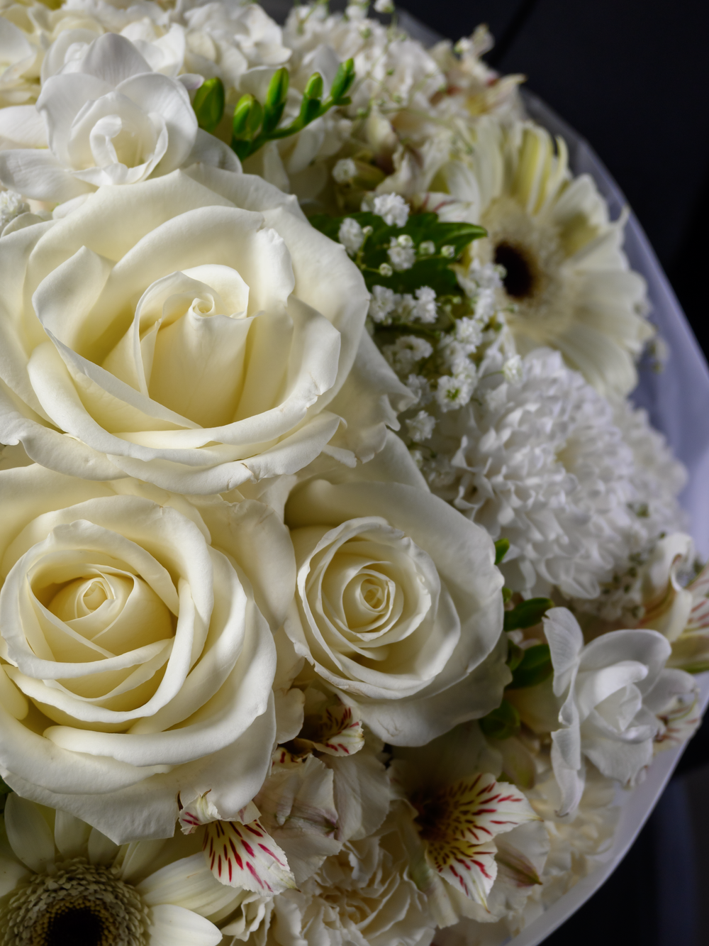 Символ чистоты *