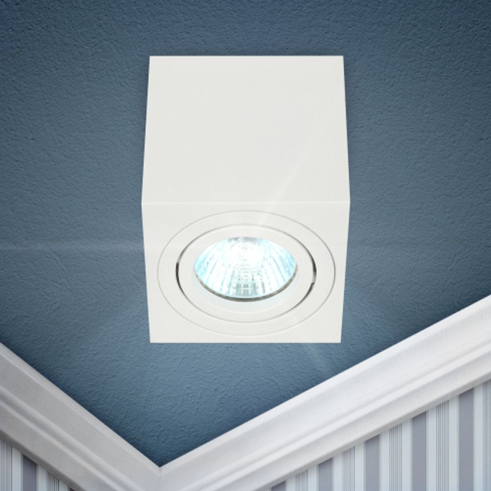 Светильник настенно-потолочный спот ЭРА OL22 WH MR16/GU10, белый, поворотный | Накладные светильники