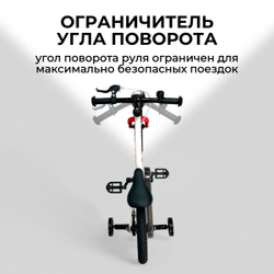 Велосипед-трансформер BubaGO Rollin 