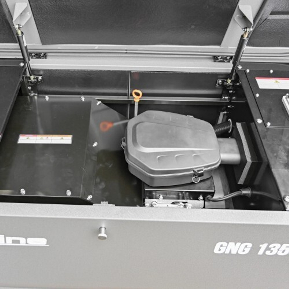 Газовая электростанция Evoline GNG 13500 E GNG13500E