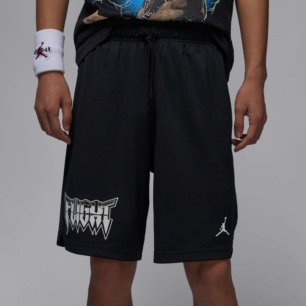 Шорты Jordan logo, FN5859-010