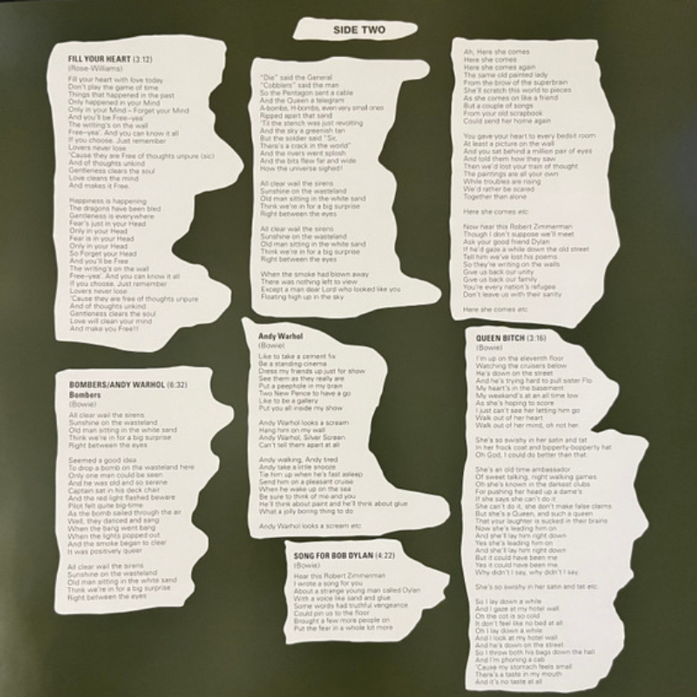 David Bowie / A Divine Symmetry (An Alternative Journey Through Hunky Dory)(LP)