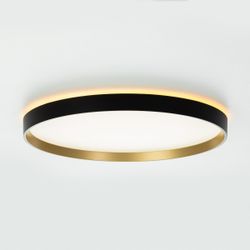 Citilux ETALON CL750401R LED RGB Светильник с пультом Чёрный+Золото