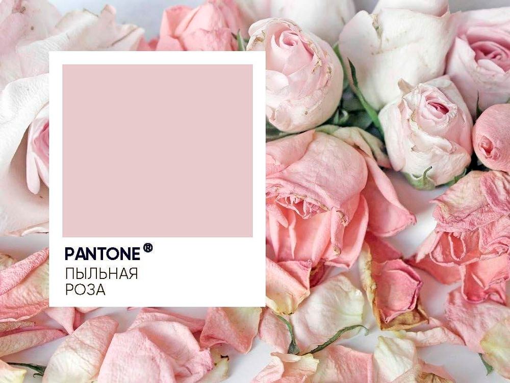 Шар (40''/102 см) Цифра, 7 Slim, Пыльная роза, 1 шт. в уп.