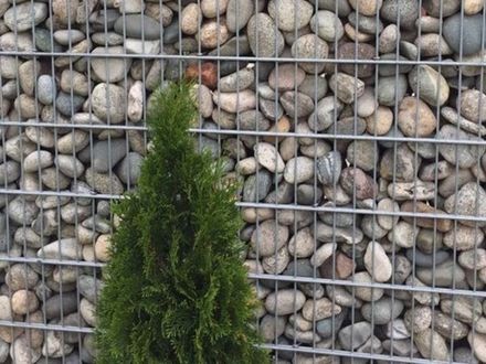 Gabions and pergones