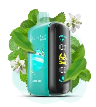 ELF BAR RAYA D3 - Alpine Mint (5% nic)