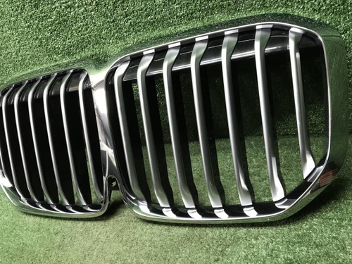 Решетка радиатора BMW X7 G07 (2019-2022)