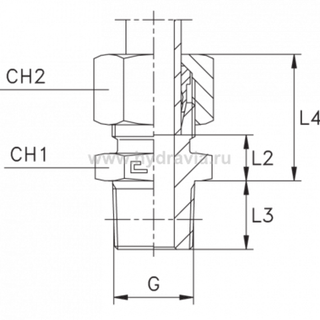 Штуцер FC DS12 BSPT 3/8 (в сборе, нерж.)