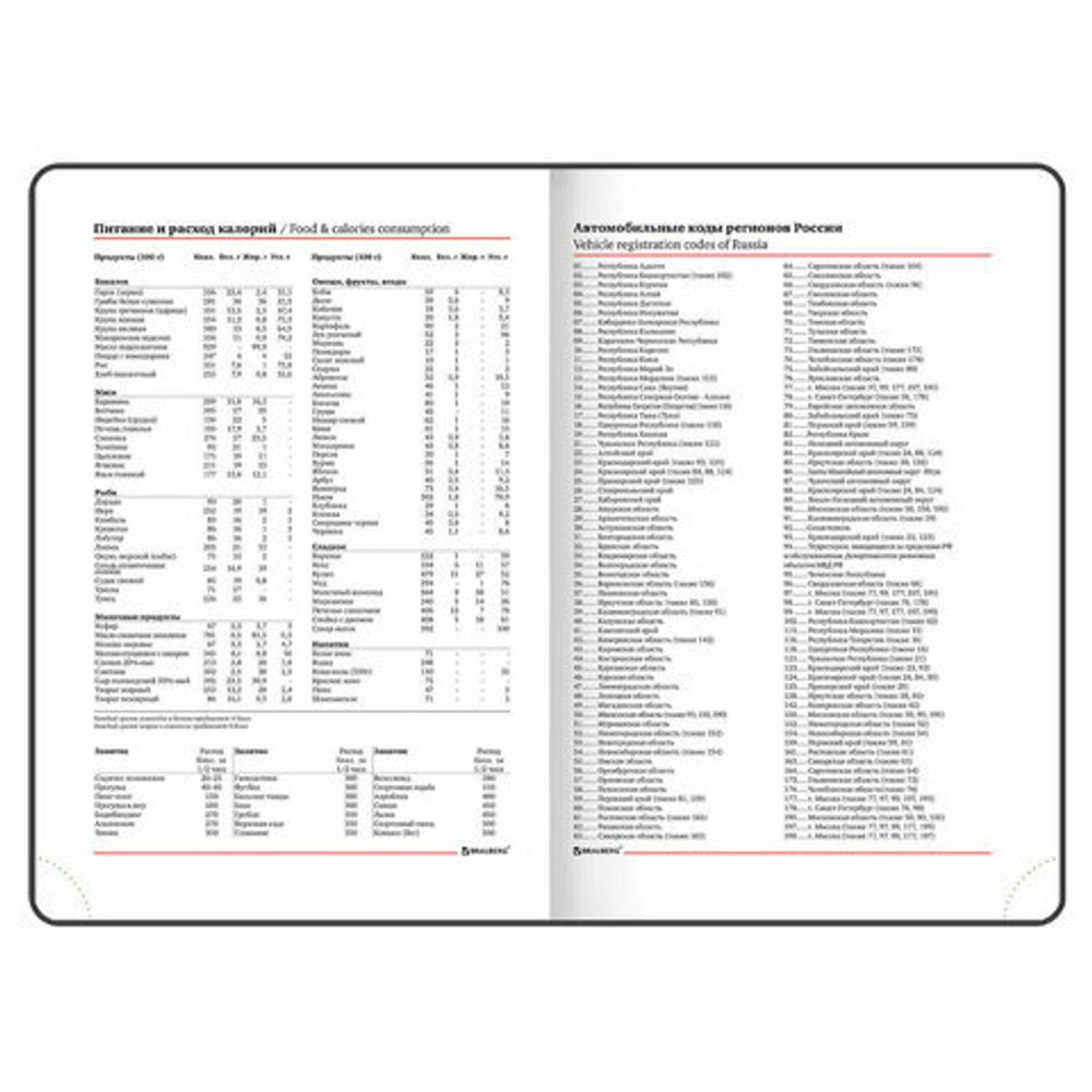 Ежедневник недатированный А5 (138х213 мм), BRAUBERG VISTA, под кожу, гибкий, 136 л., "Spirit", 112034