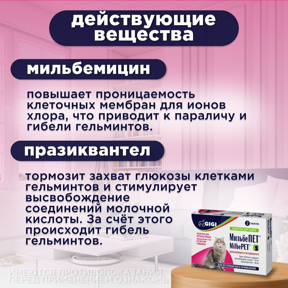 Таблетки от гельминтов МильбеПЕТ (GIGI) 40 мг для кошек более 2 кг со вкусом говядины, 2таб Мильбемицин/Празиквантел