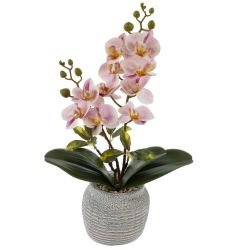 GAEM Цветочная композиция, L15 W13,5 H39 см