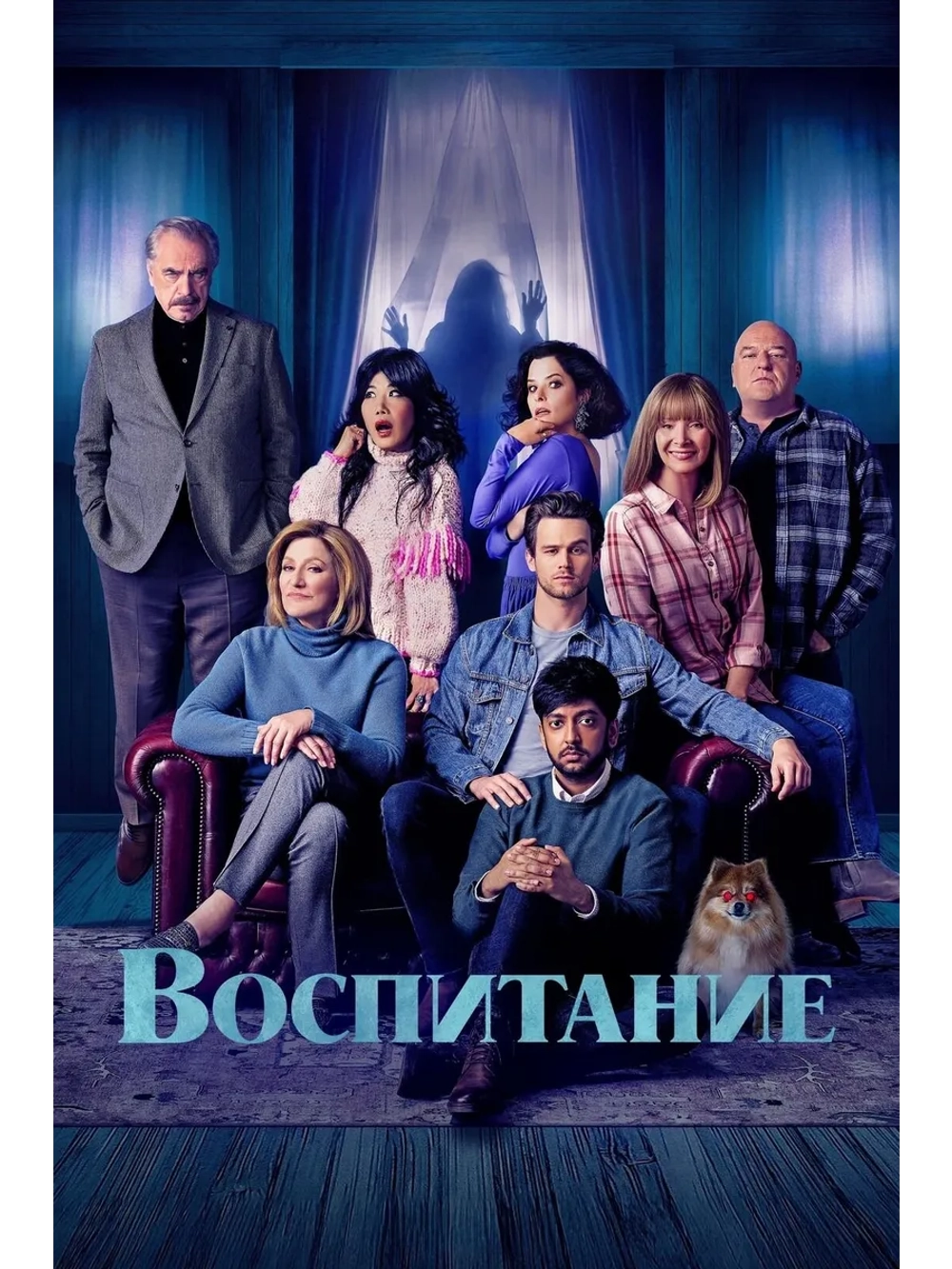 Воспитание (2025) (DVD-R)