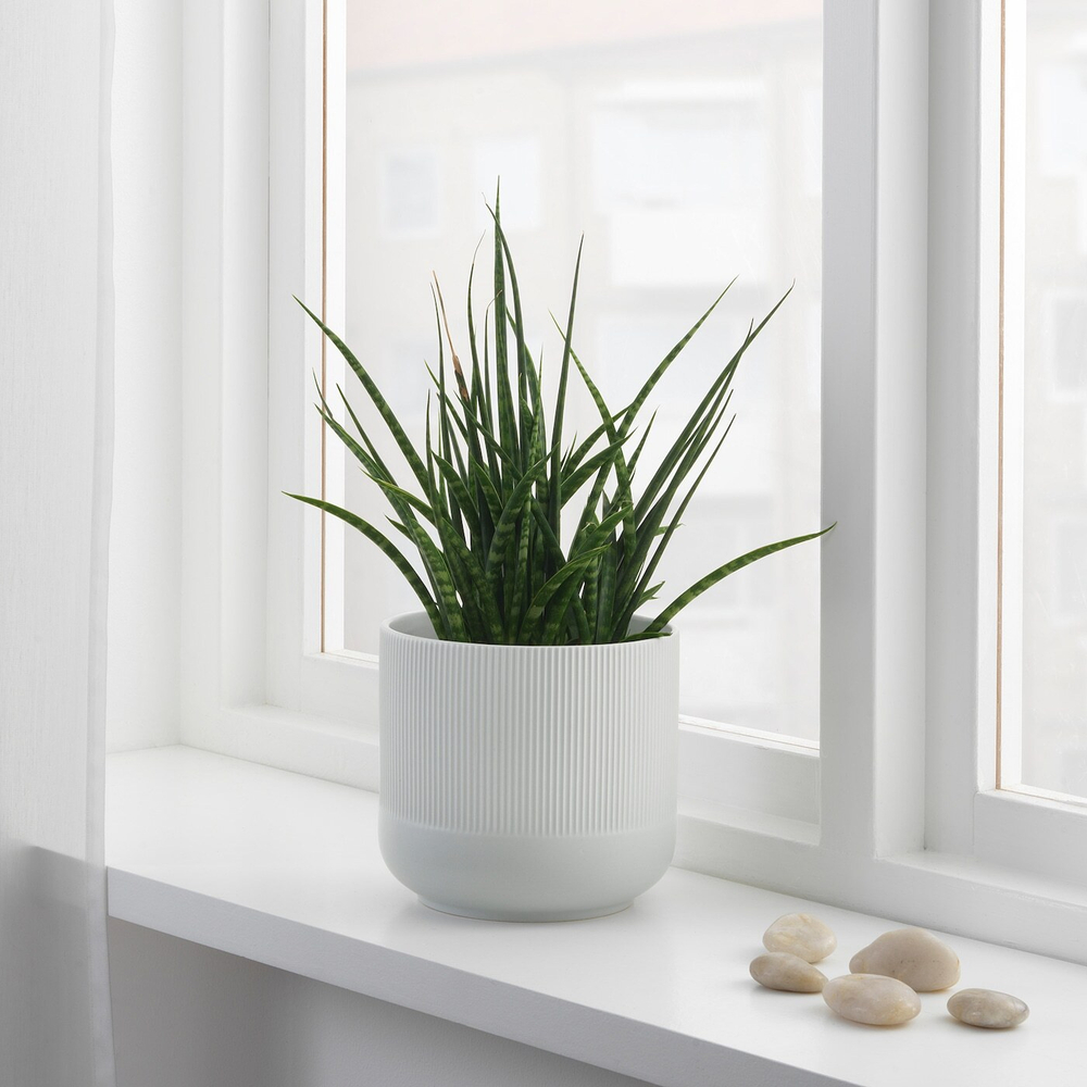 IKEA GRADVIS  (ИКЕА ГРАДВИС)  -  Простыня, серая, 15 см