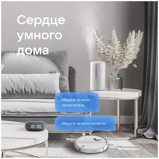 Умная колонка VK Капсула мини (с часами), тёмная серая