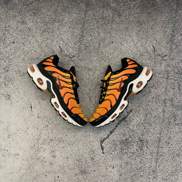 Кроссовки Nike Air Max TN Plus orange