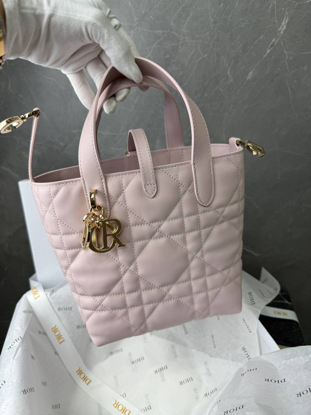 Сумка Christian Dior