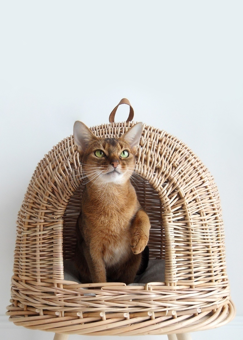 Домик "Пони-НЛОни"