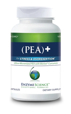 PEA + Meriva Curcumin 120 капсул Enzyme Science