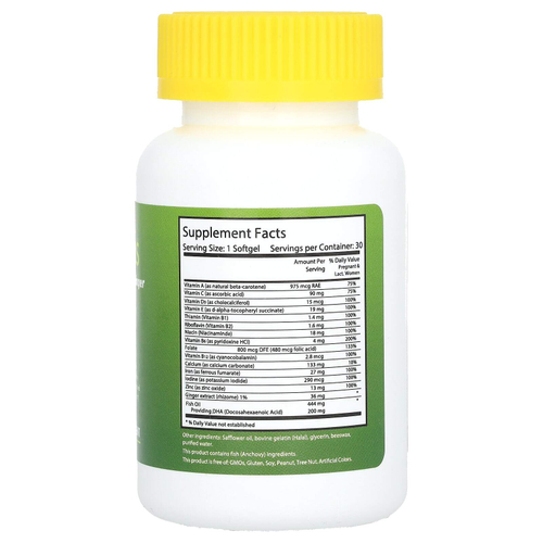 Noor Vitamins, ДГК и имбирь для беременных, 30 капсул