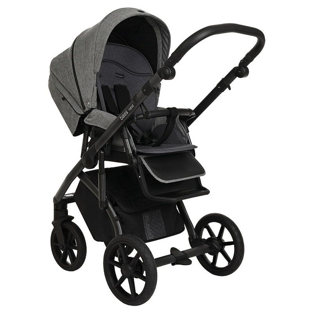 Детская коляска Roan Bass Next 2 в 1 RN027/1 Titanium
