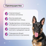 Функциональное лакомство Favet PetPantel Soft Chews для мышц и суставов для собак, 120г