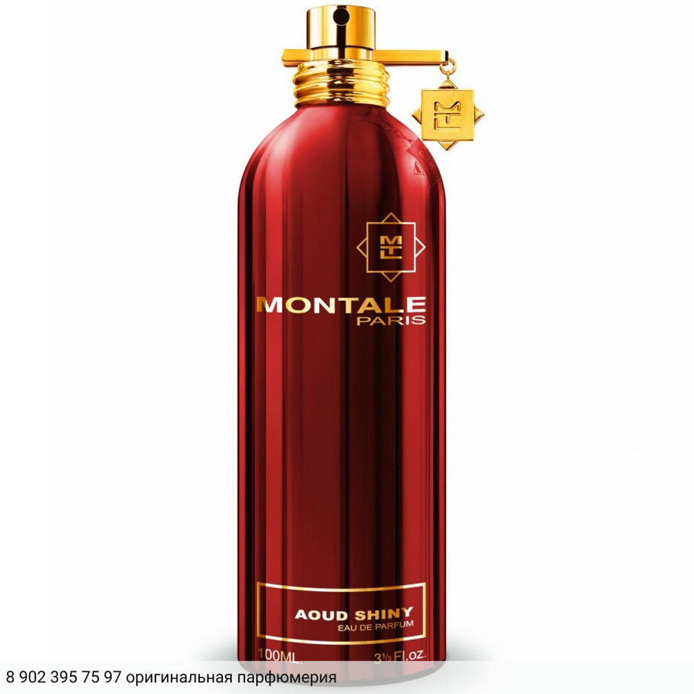 Aoud Shiny