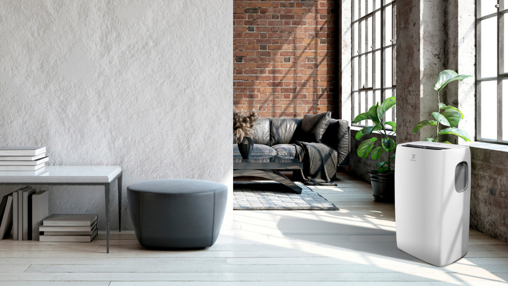 Мобильный кондиционер Electrolux EACM-11 CL/N3