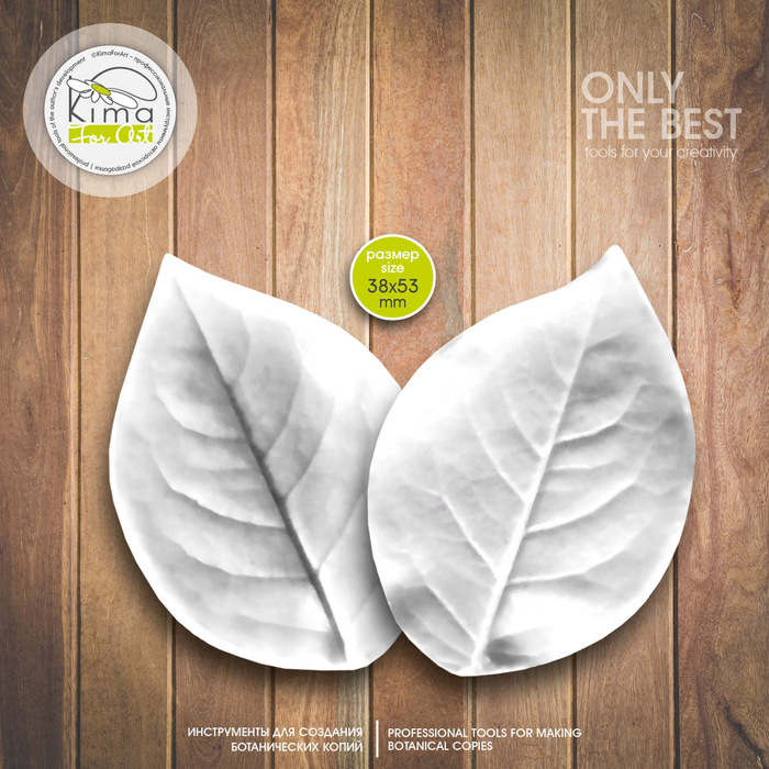 Роза кустовая лист