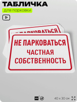 Табличка для парковки "Не парковаться, частная собственность", для дома, офиса, организаций, 40х30 см, Silver Plane x Айдентика Технолоджи