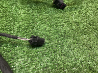 Проводка заднего бампера Haval Jolion (2024-н.в.)