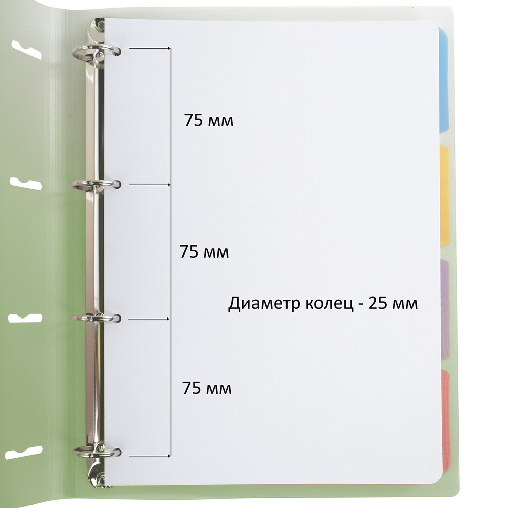 Тетрадь на кольцах БОЛЬШАЯ 305х235 мм А4 120 л. пластик с разделителями BRAUBERG зеленый (2 штуки в упаковке)