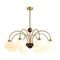 Люстра Lumion LARINA 8323/8C