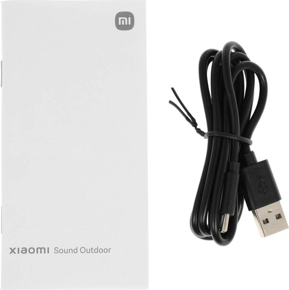 Колонка портативная Xiaomi Sound Outdoor S29D, 30Вт, черный [qbh4261gl]