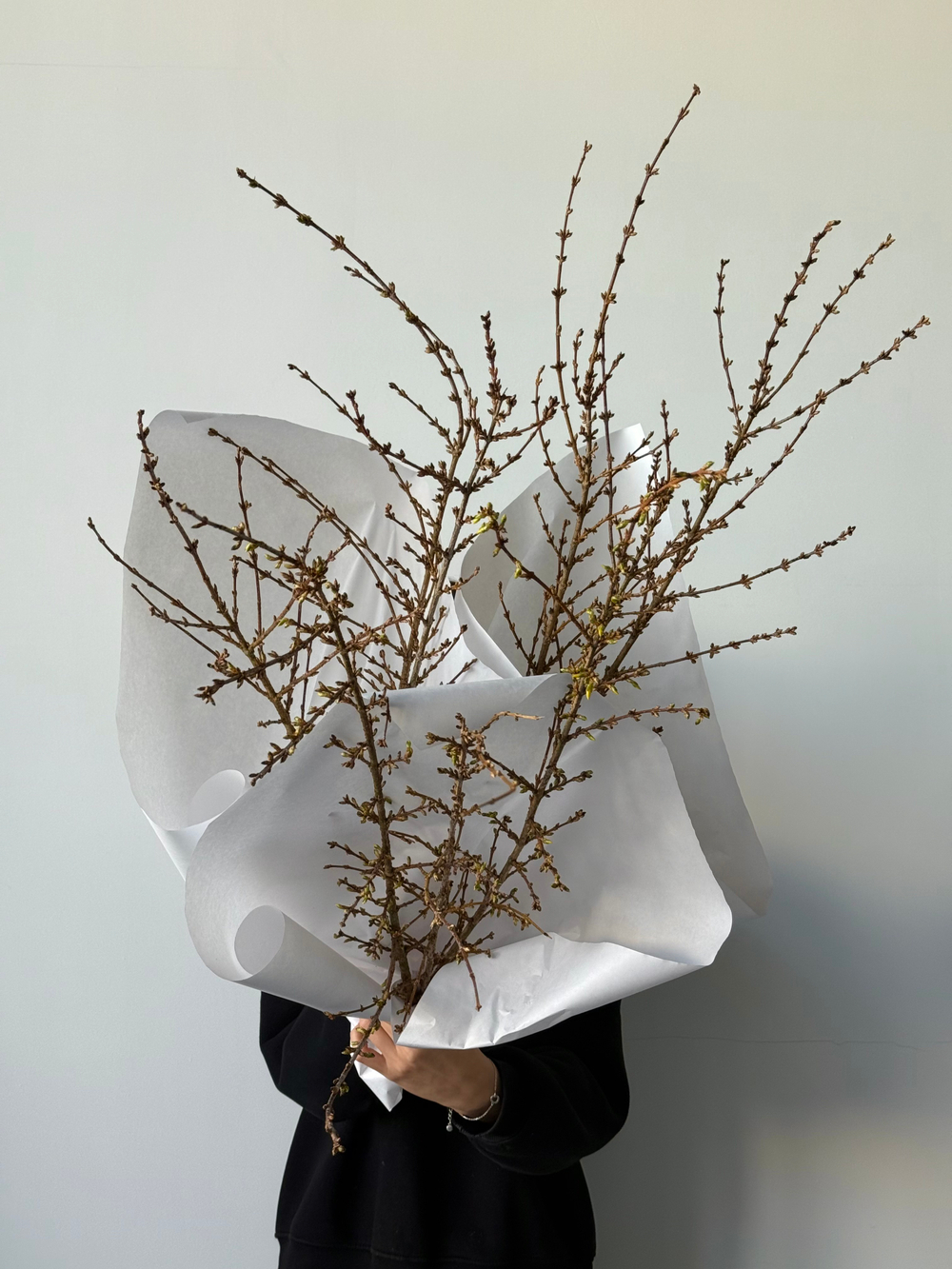 Охапка цветущие ветки форзиции 3 шт