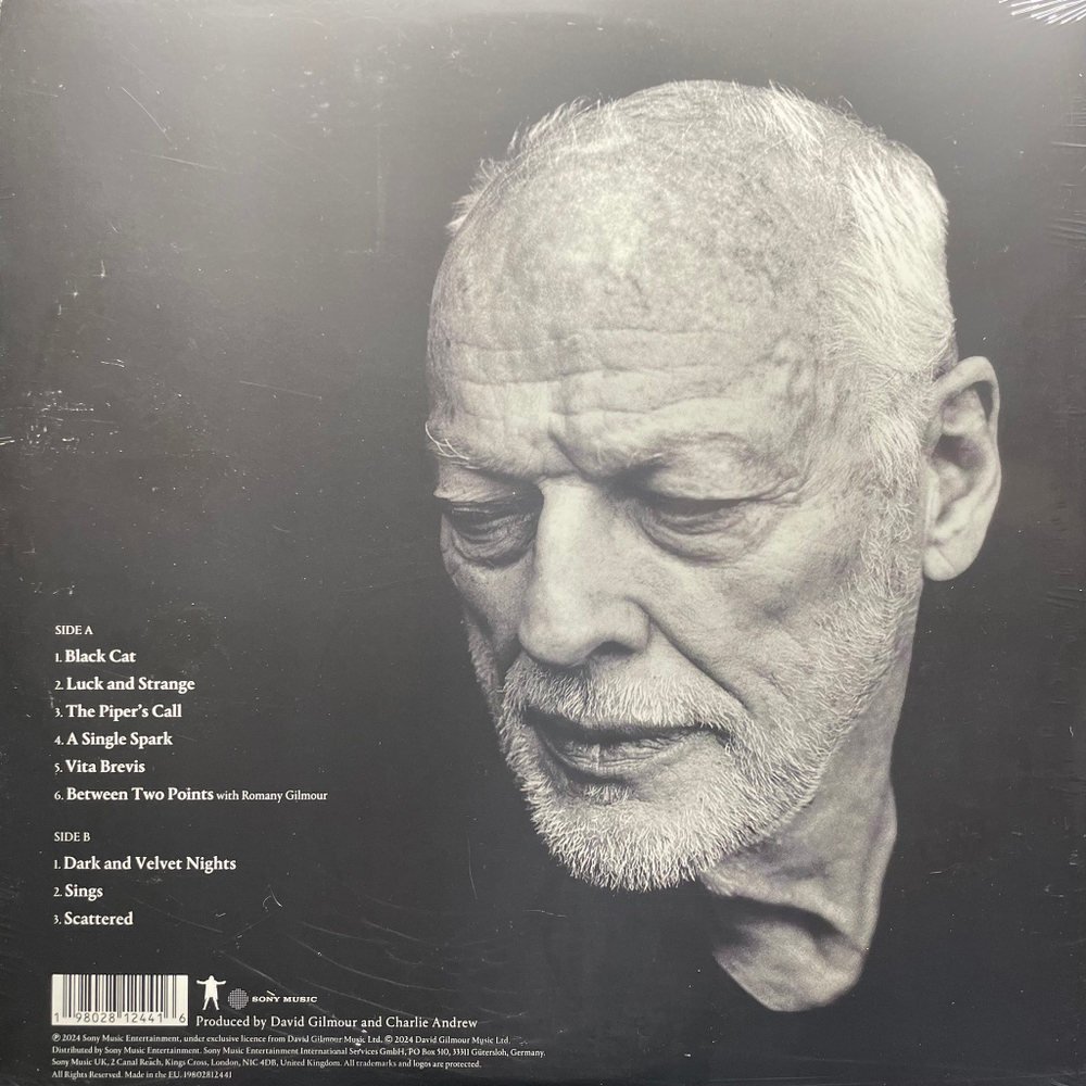 David Gilmour ‎– Luck And Strange (Европа 2024г.) Silver