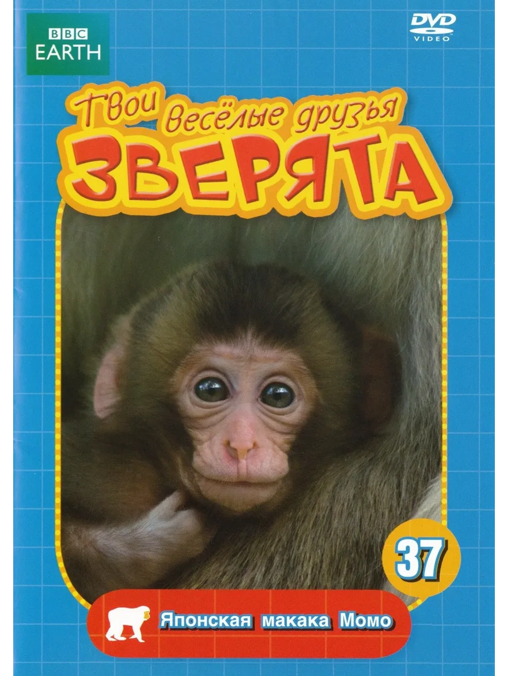 BBC: Японская макака Момо (DVD-R)