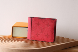 Louis Vuitton Multiple Wallet