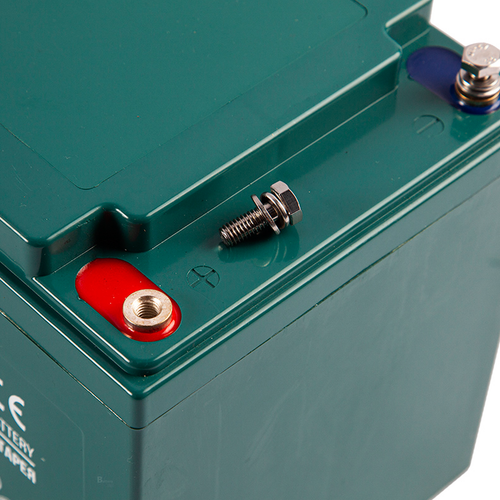 Аккумулятор RuTrike 6-EVF-55 (AGM)